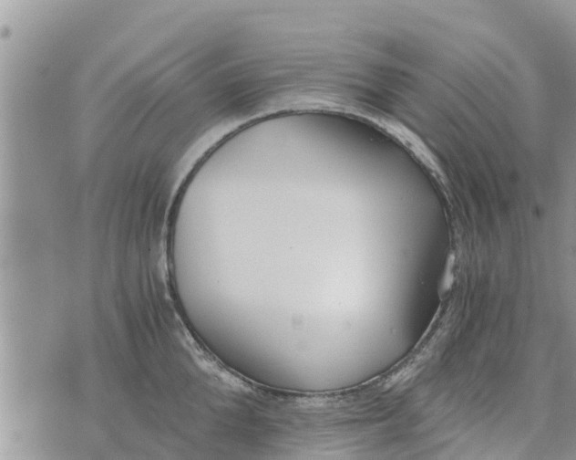 X0000073920904200609082235