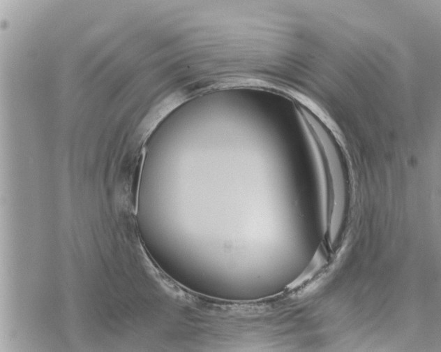 X0000073920905200609082235