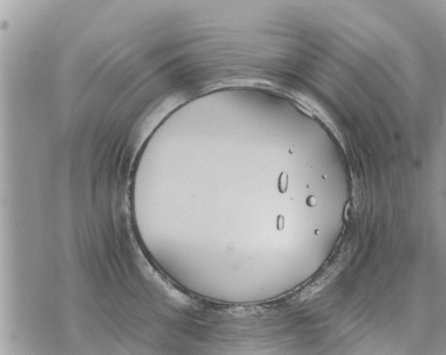 X0000073920906200609082235