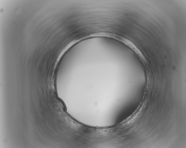 X0000073920908200609082235