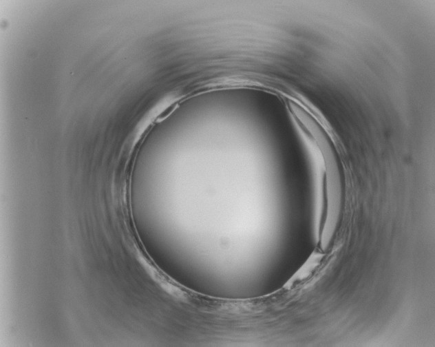 X0000073920909200609082235