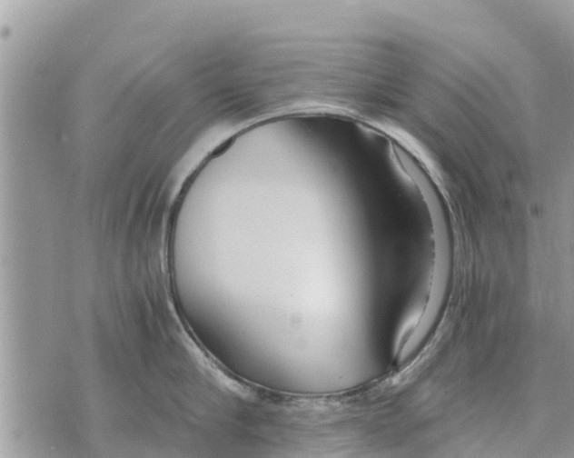 X0000073920910200609082235