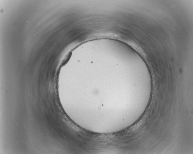 X0000073920912200609082235