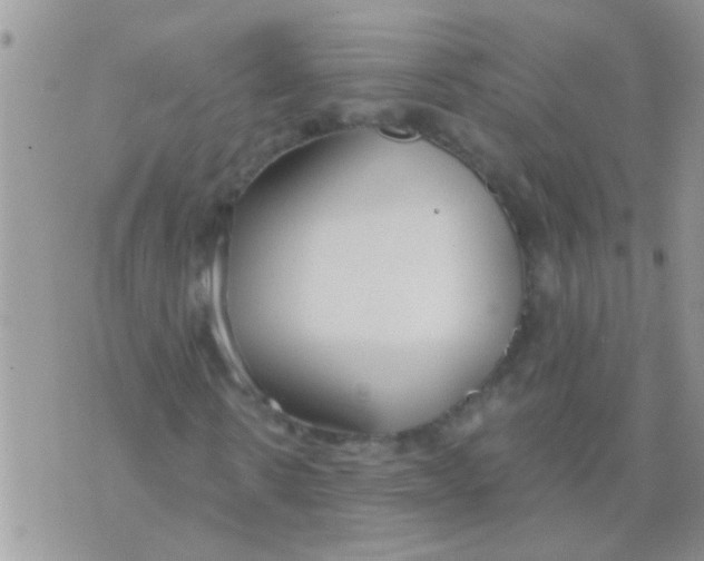 X0000073920914200609082234