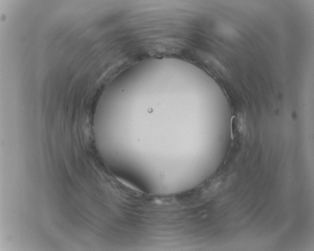 X0000073920915200609082234