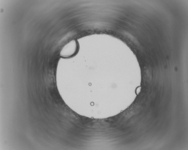 X0000073920918200609082234