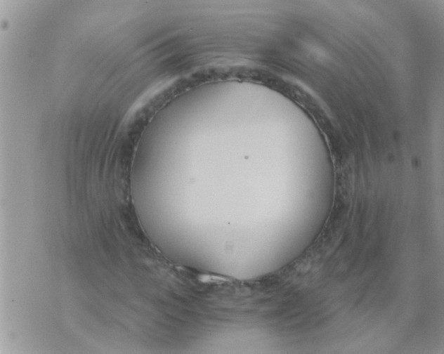 X0000073920919200609082234