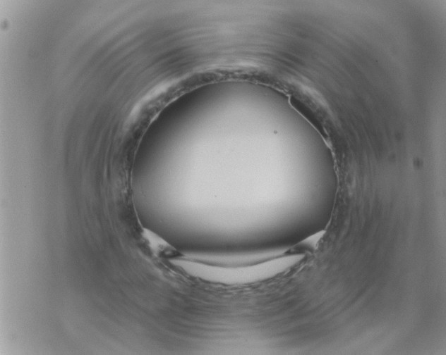 X0000073920920200609082234