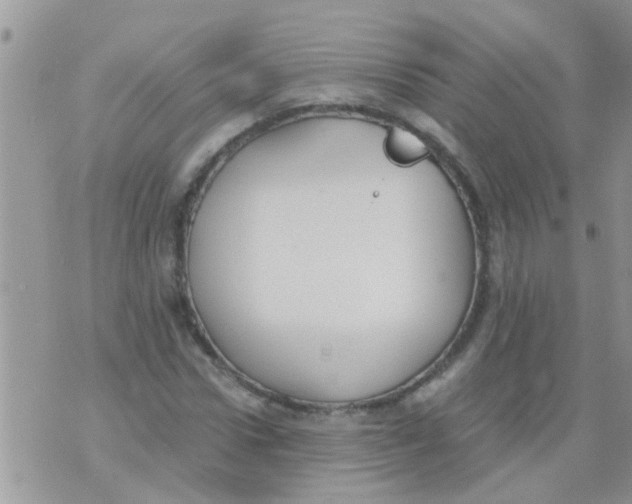 X0000073920922200609082234