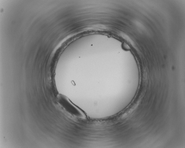 X0000073920923200609082234