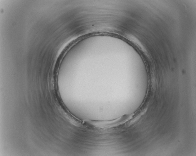 X0000073920924200609082234