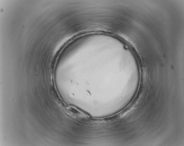 X0000073920925200609082234