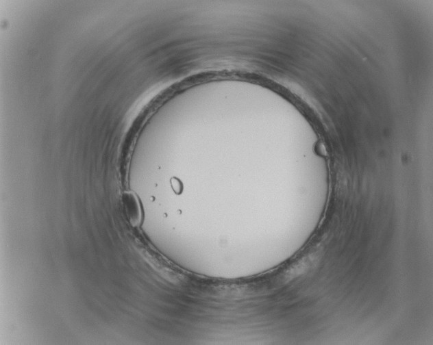 X0000073920927200609082234