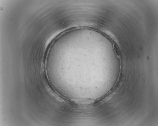 X0000073920928200609082234