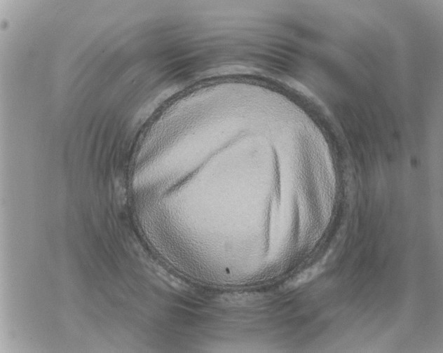 X0000073920929200609082234