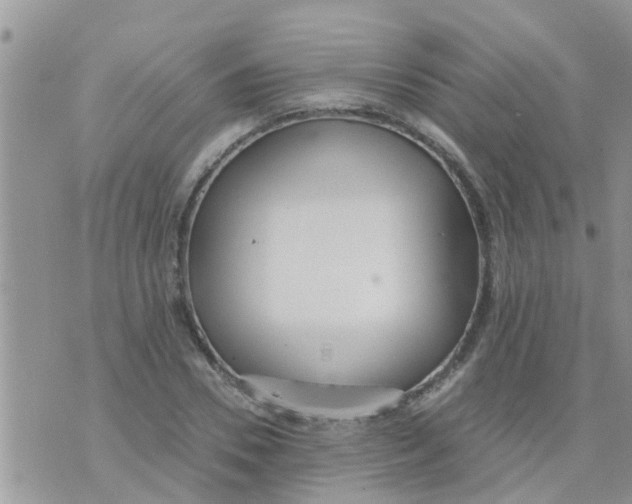 X0000073920930200609082234