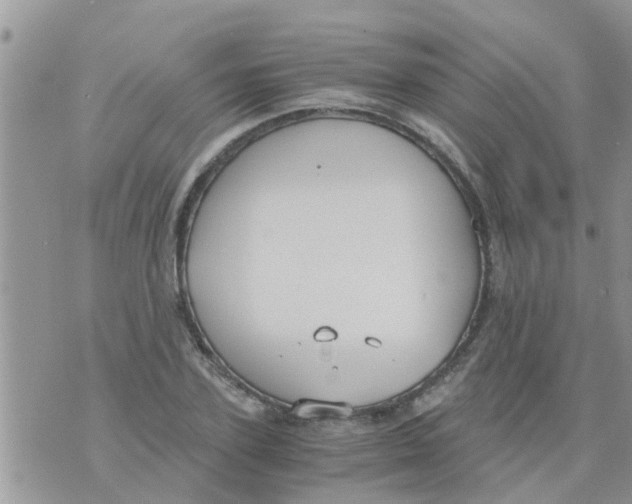 X0000073920931200609082234