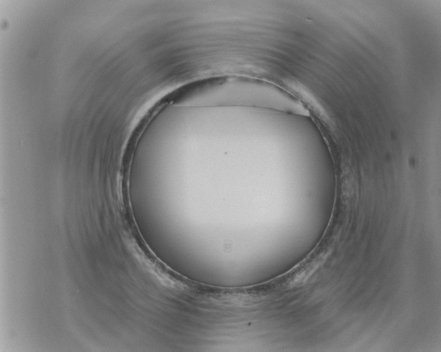 X0000073920932200609082234