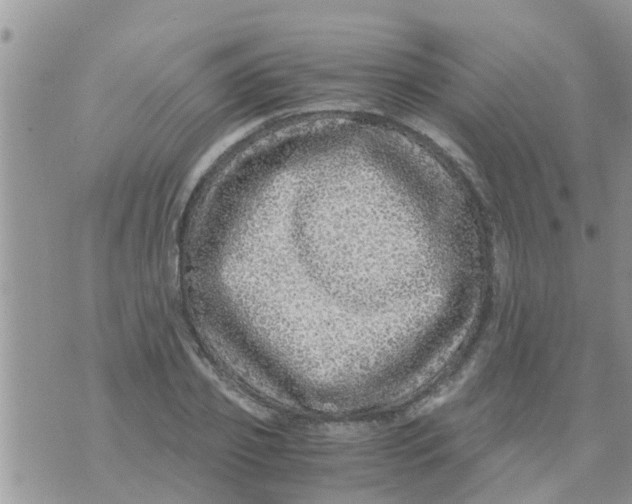 X0000073920933200609082234