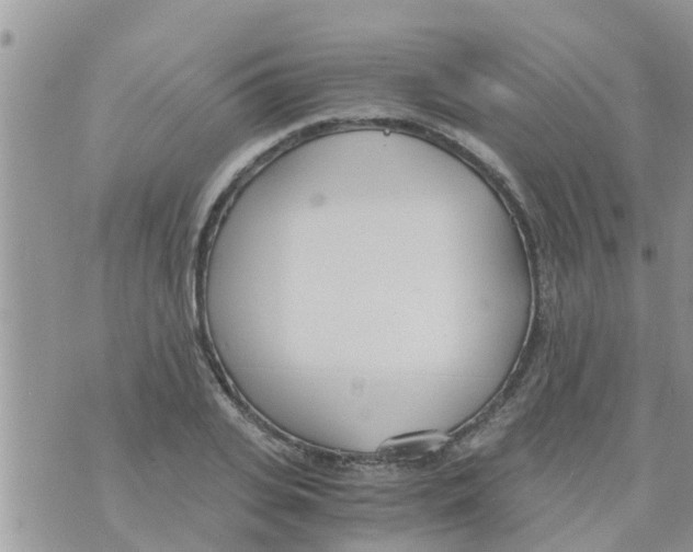 X0000073920935200609082234