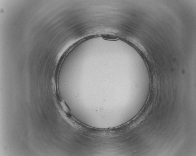 X0000073920936200609082234