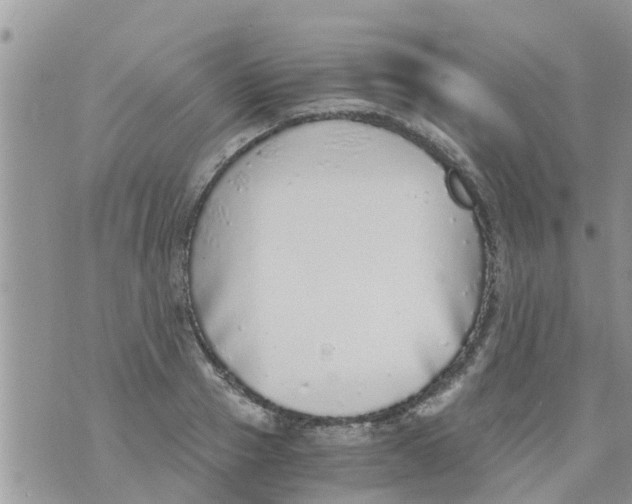 X0000073920937200609082234