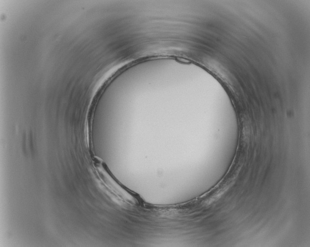 X0000073920940200609082234