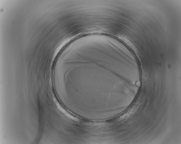 X0000073920941200609082234