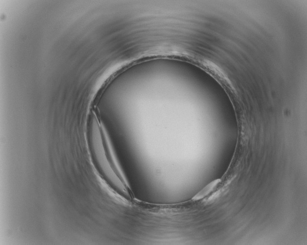 X0000073920942200609082234