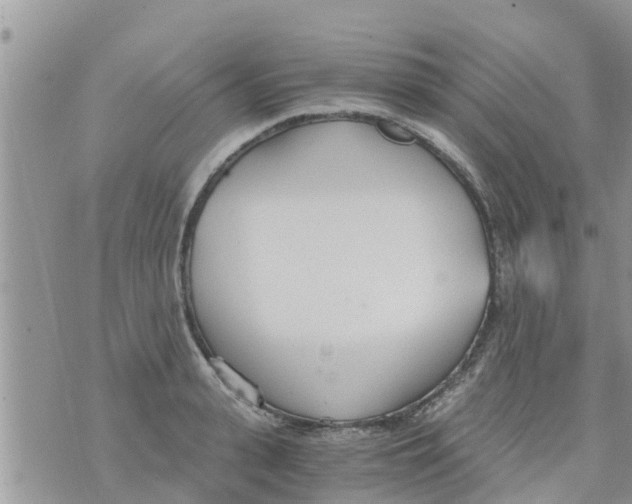 X0000073920943200609082234