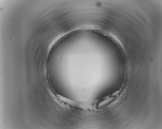 X0000073920944200609082234