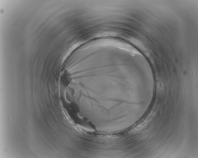 X0000073920945200609082234