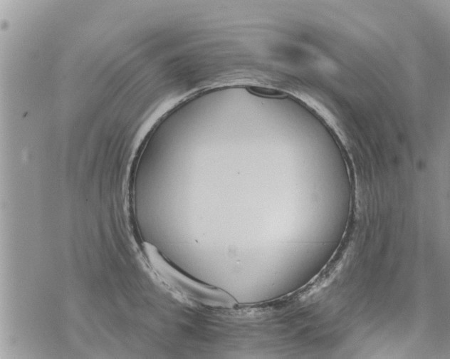 X0000073920949200609082234