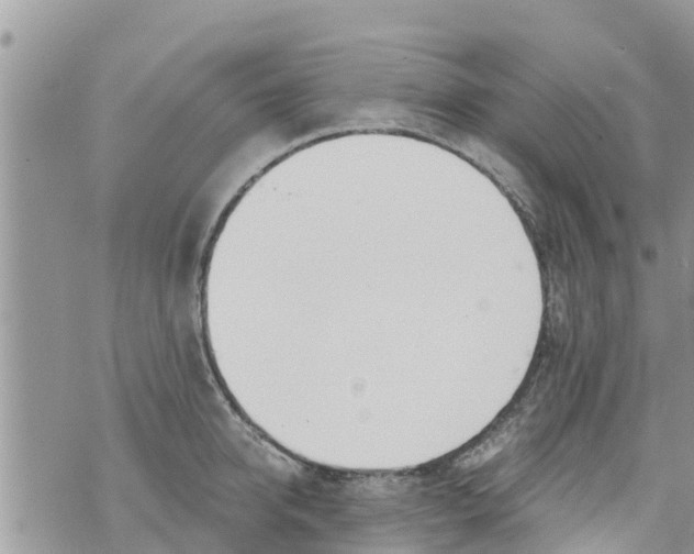 X0000073920950200609082234