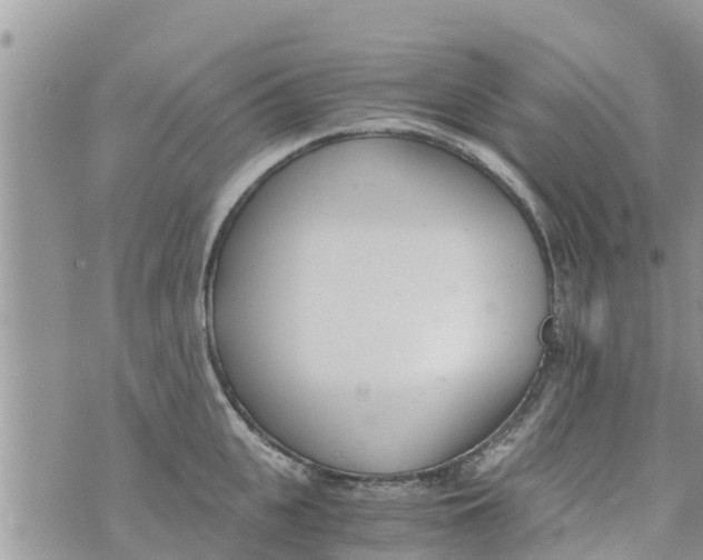 X0000073920951200609082234