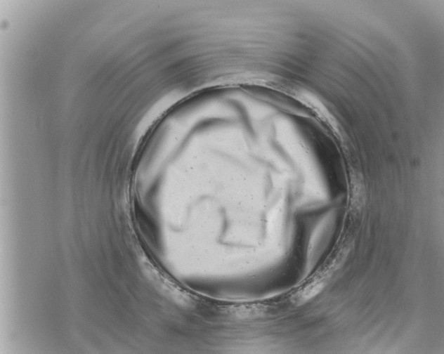 X0000073920952200609082234