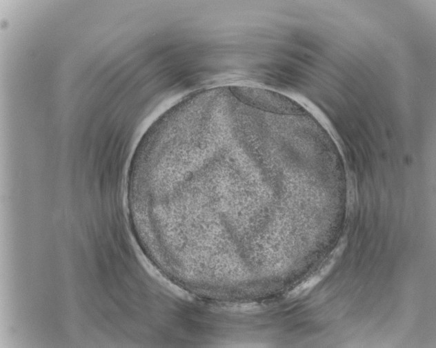 X0000073920957200609082234