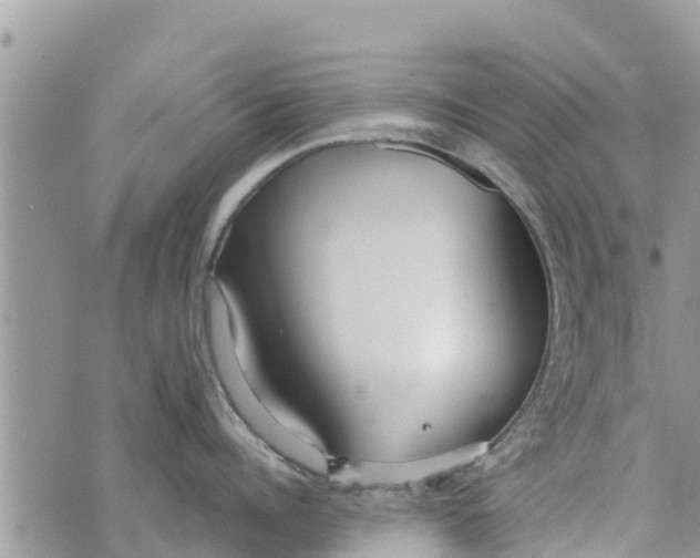 X0000073920960200609082235