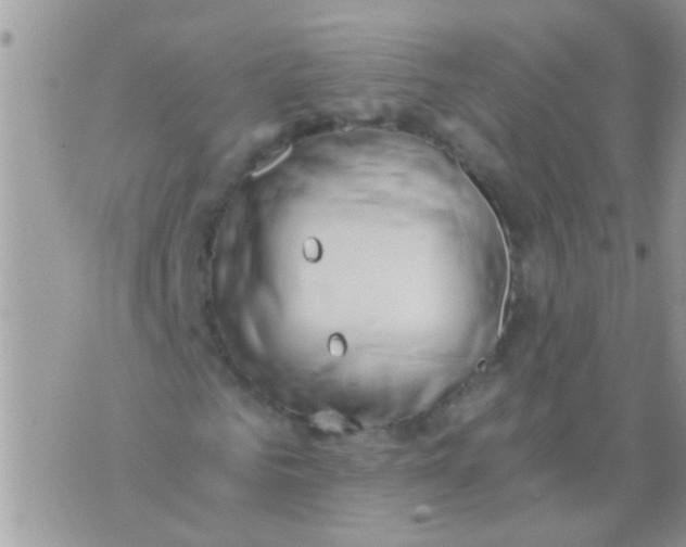 X0000073920961200609082234