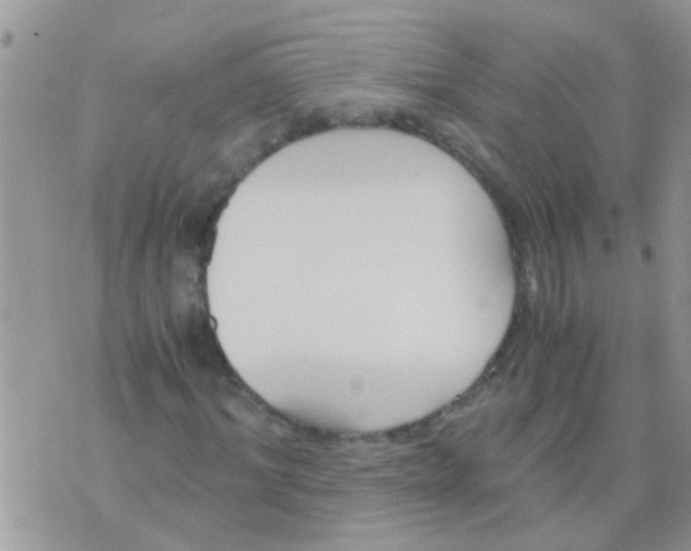 X0000073920964200609082234