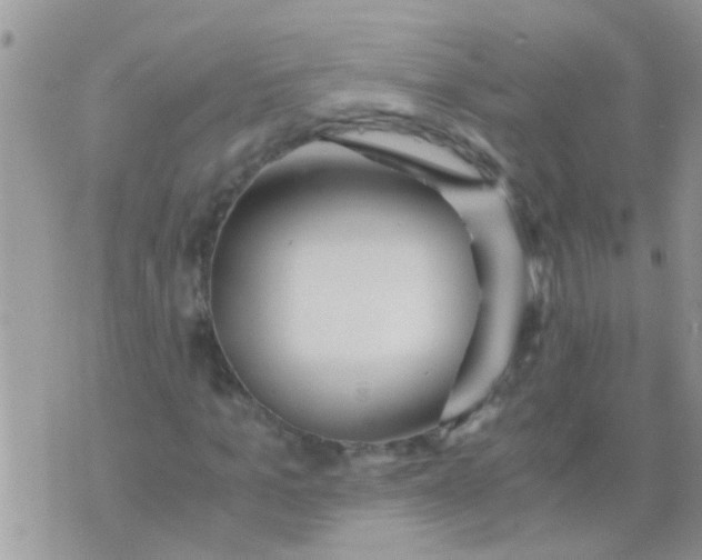 X0000073920965200609082234