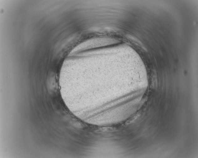 X0000073920966200609082234