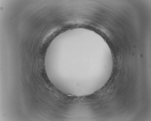 X0000073920967200609082234