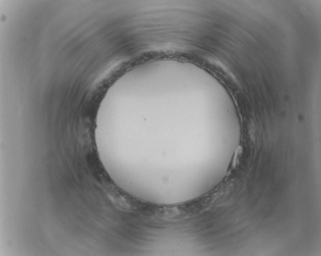 X0000073920968200609082234