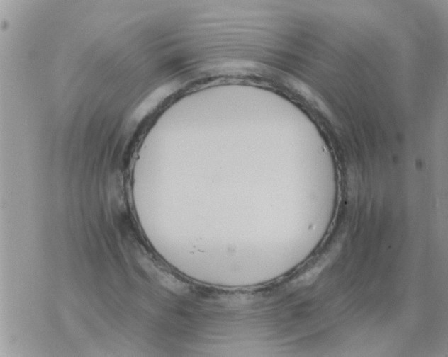 X0000073920970200609082234