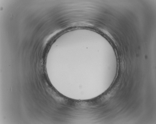 X0000073920971200609082234