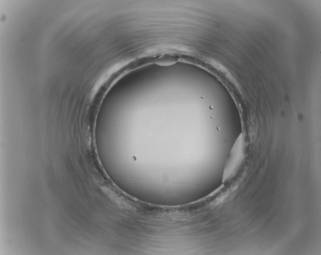 X0000073920973200609082234