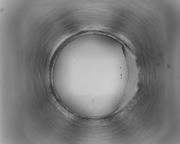 X0000073920976200609082234