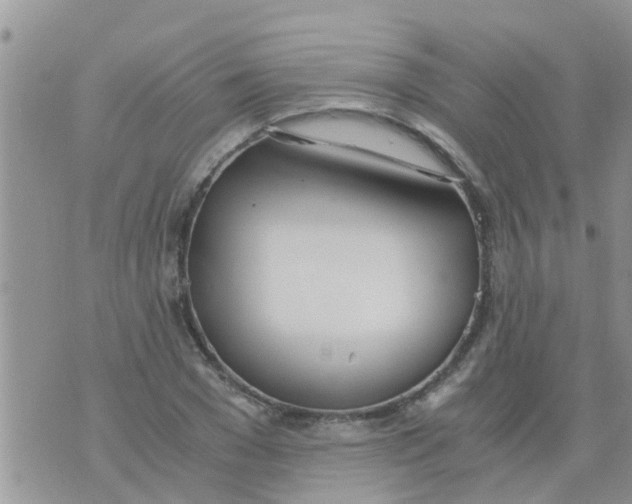 X0000073920977200609082233