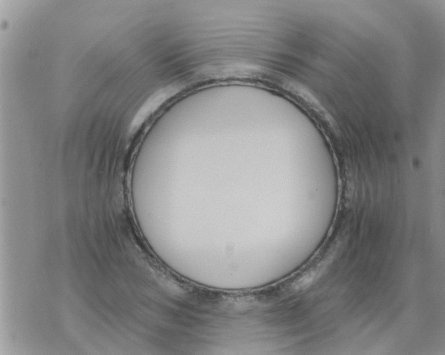 X0000073920978200609082233